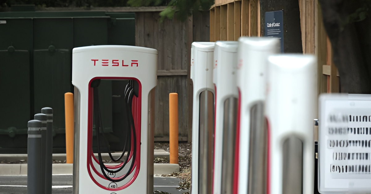 Tesla's stock surges 10% after announcing vehicle deliveries declined less than expected, marking six days of consecutive gains.
Image Source: Associated Press