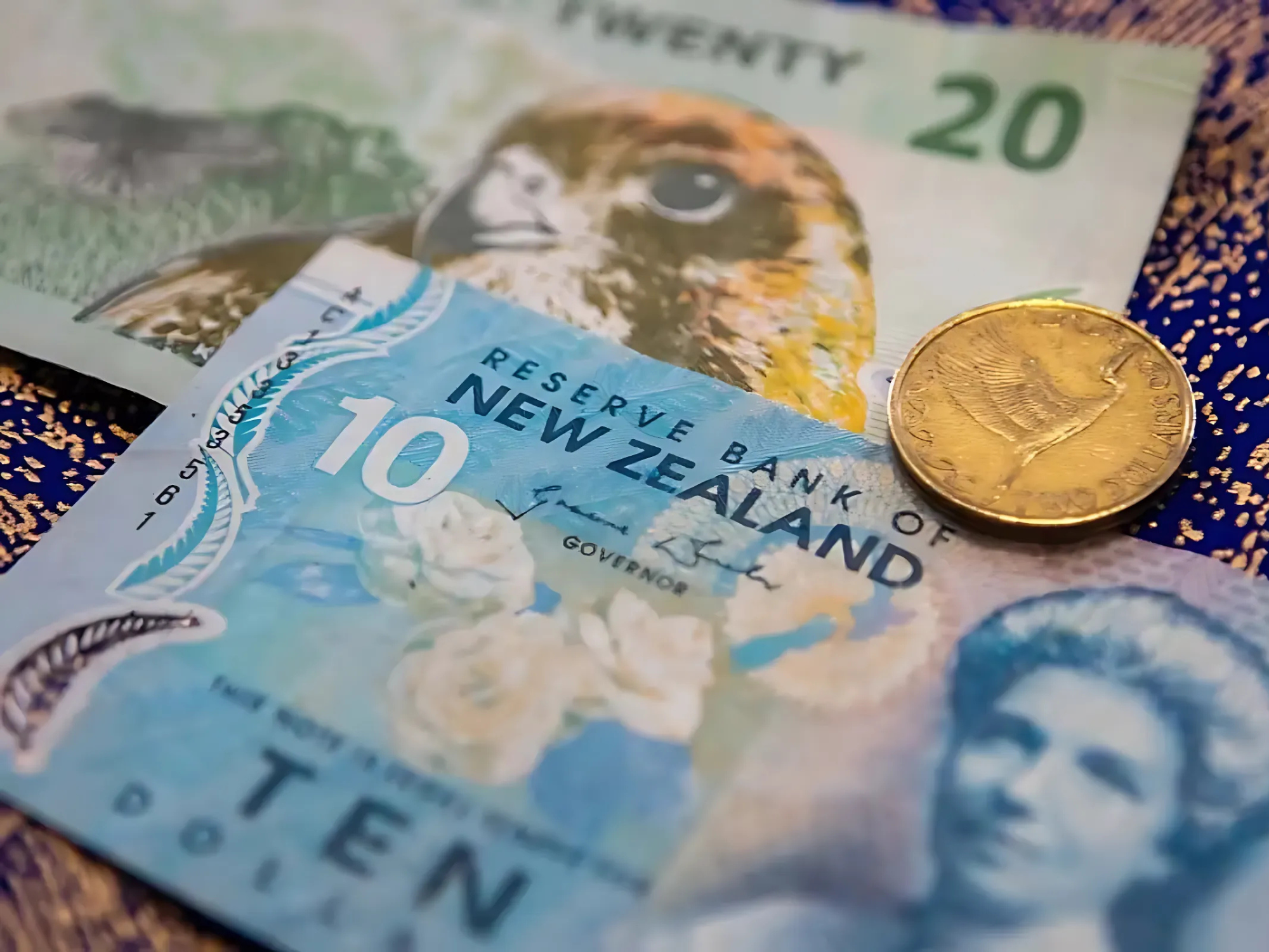 Image Source: Supply Chain Game Changer